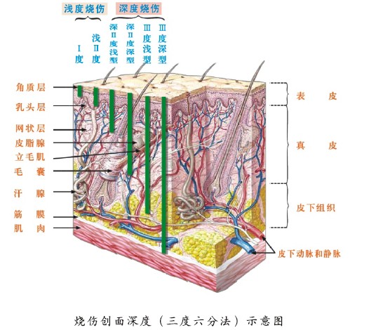 suncitygroup太阳集团(中国)-官方网站