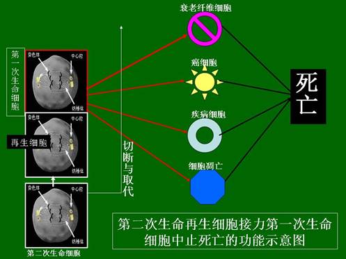 suncitygroupÌ«Ñô¼¯ÍÅ(Öйú)-¹Ù·½ÍøÕ¾