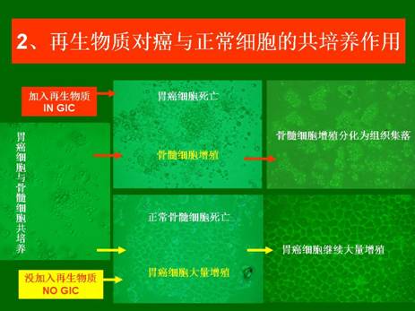 suncitygroupÌ«Ñô¼¯ÍÅ(Öйú)-¹Ù·½ÍøÕ¾