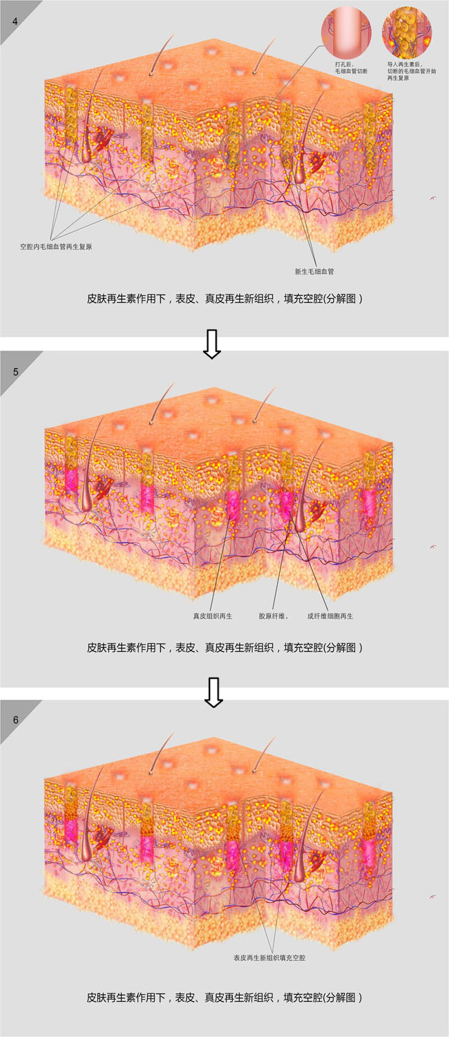 suncitygroup太阳集团(中国)-官方网站