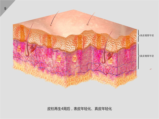 suncitygroup太阳集团(中国)-官方网站