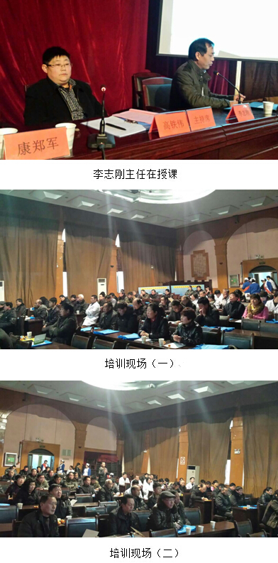 suncitygroup̫(й)-ٷվ